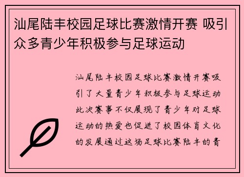 汕尾陆丰校园足球比赛激情开赛 吸引众多青少年积极参与足球运动