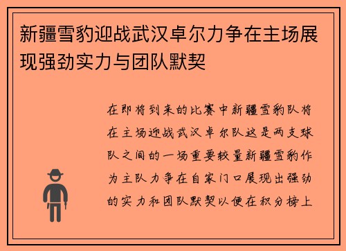 新疆雪豹迎战武汉卓尔力争在主场展现强劲实力与团队默契